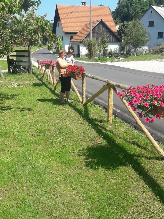 Turisticna Kmetija Pr Mark Trebce Eksteriør bilde